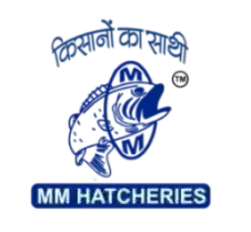 mm logo.webp